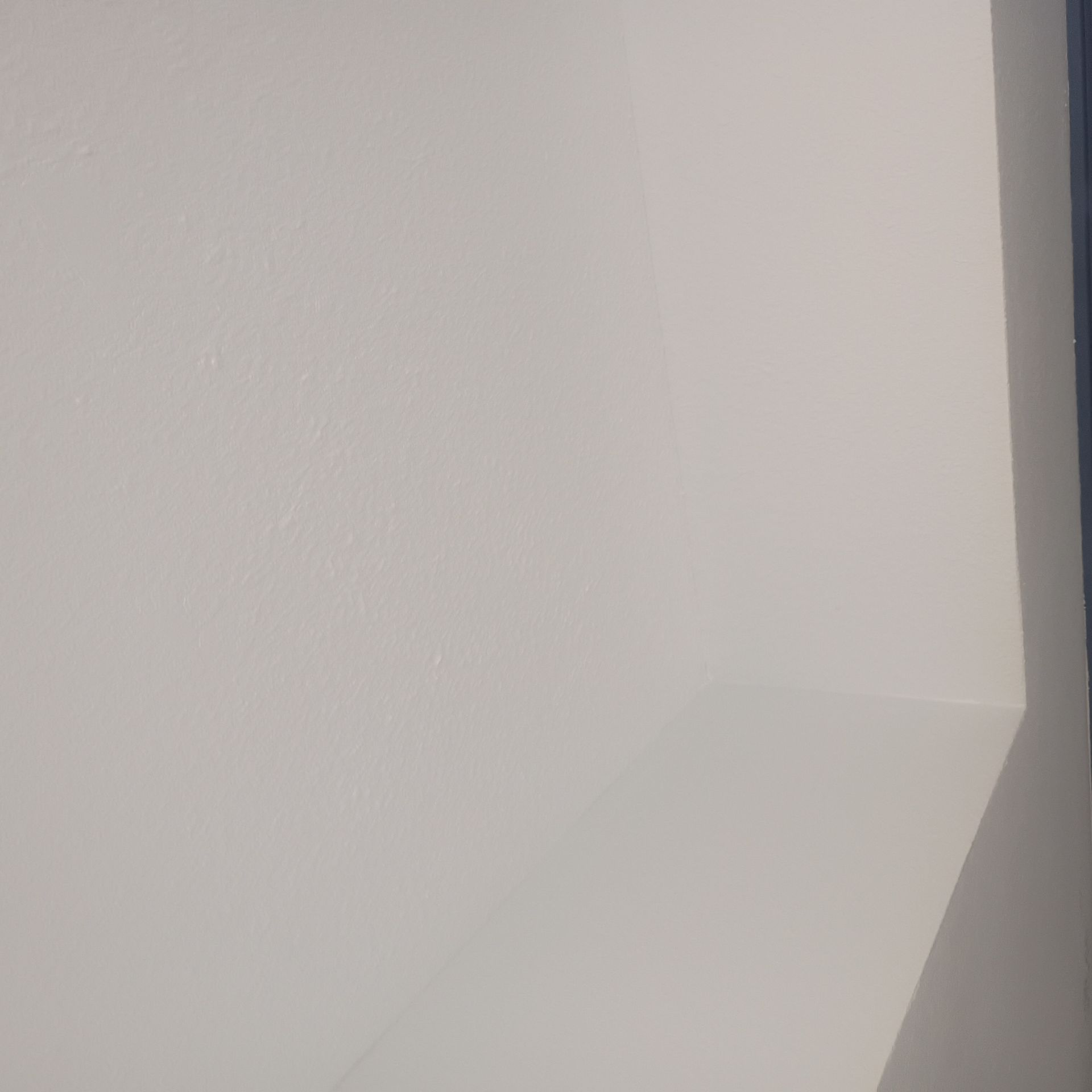1000005422