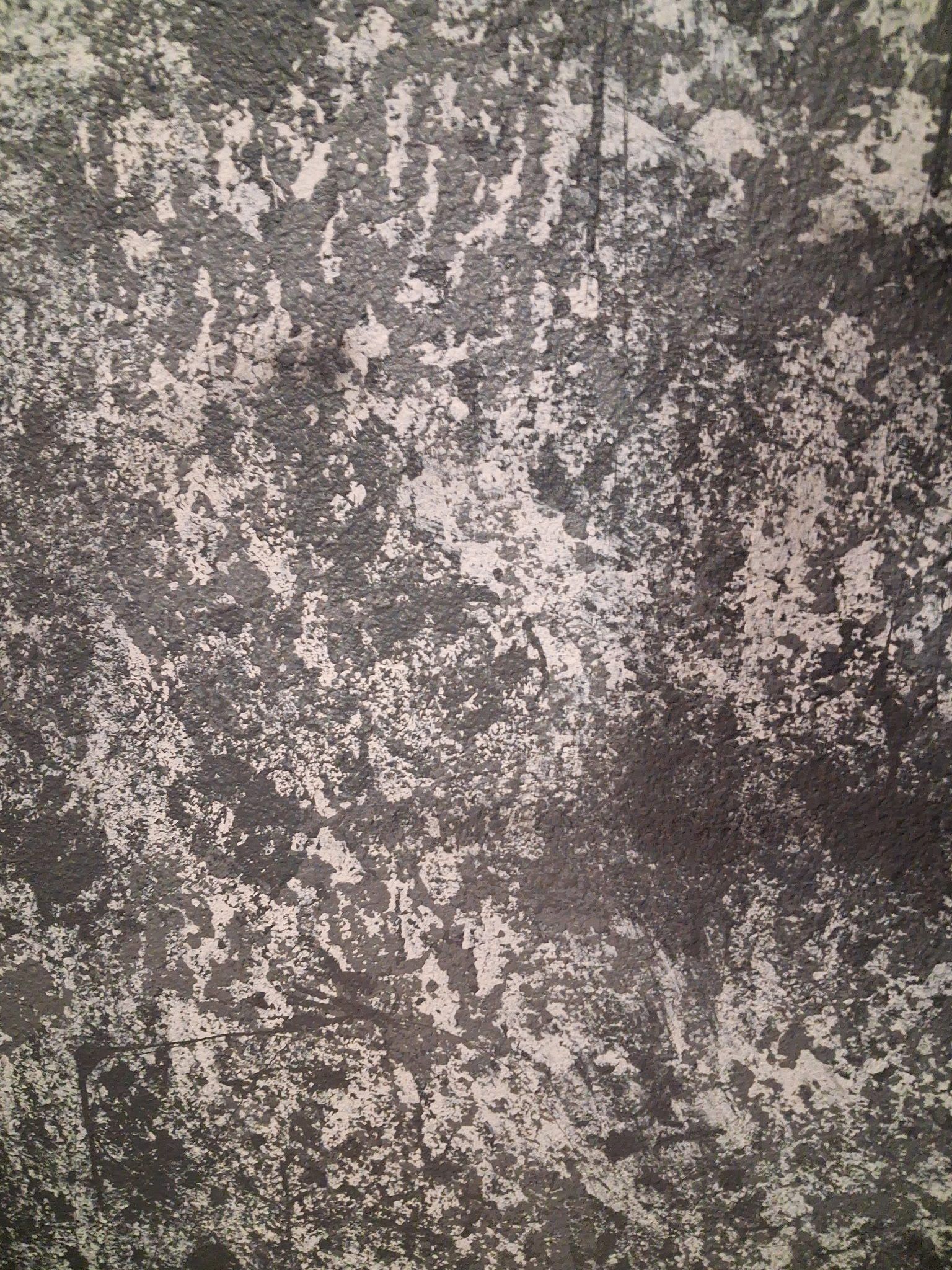 1000005122.jpg