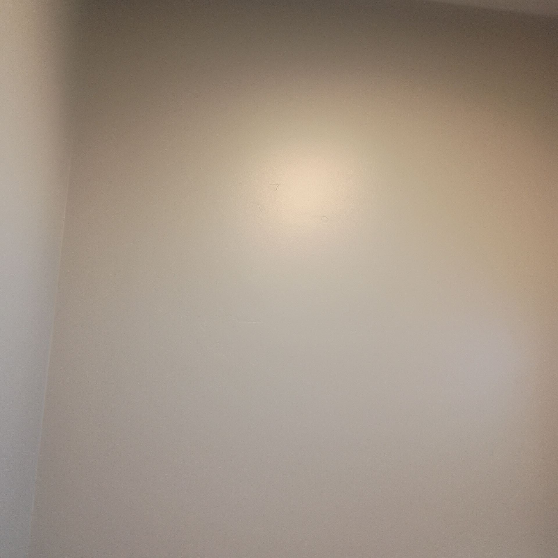 Chandler Paint gallery photo