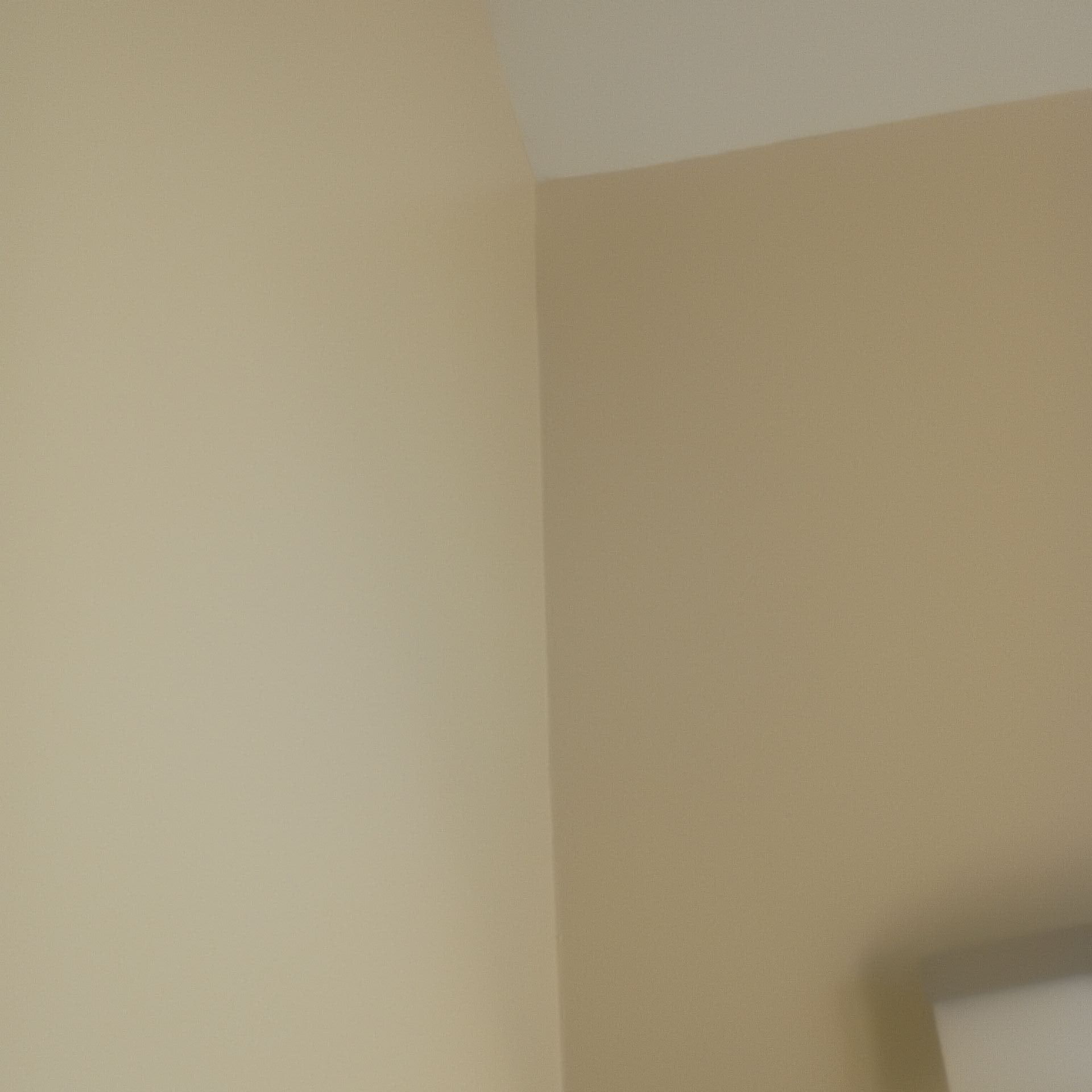 Chandler Paint gallery photo
