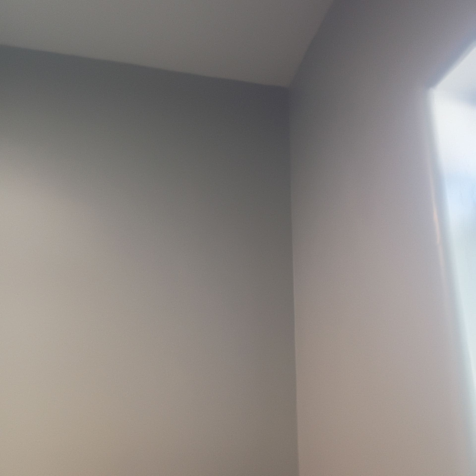 Chandler Paint gallery photo