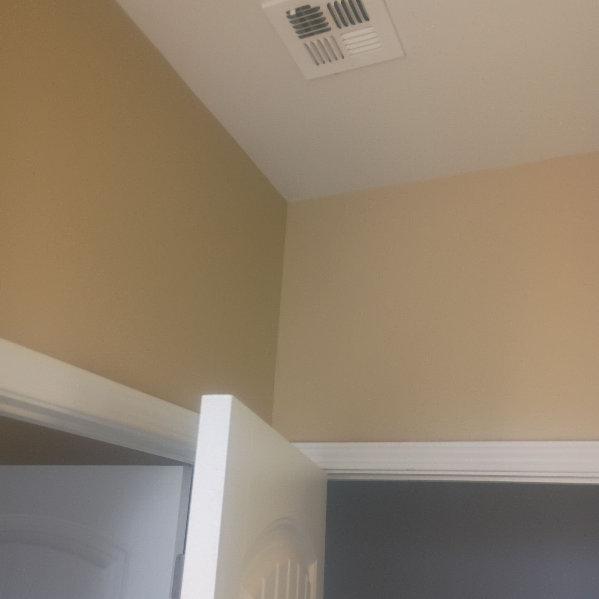 Chandler Paint gallery photo