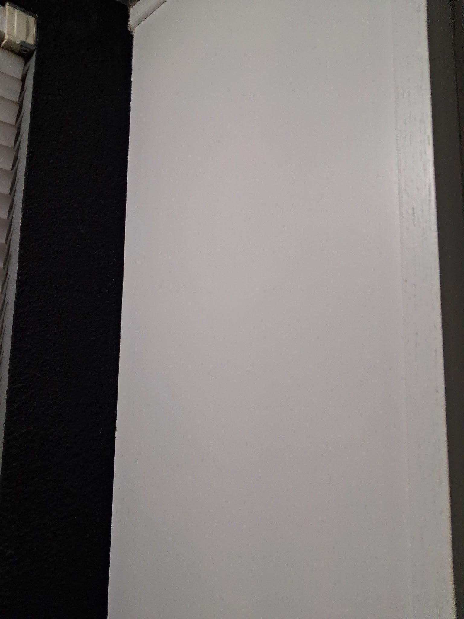 1000005113.jpg